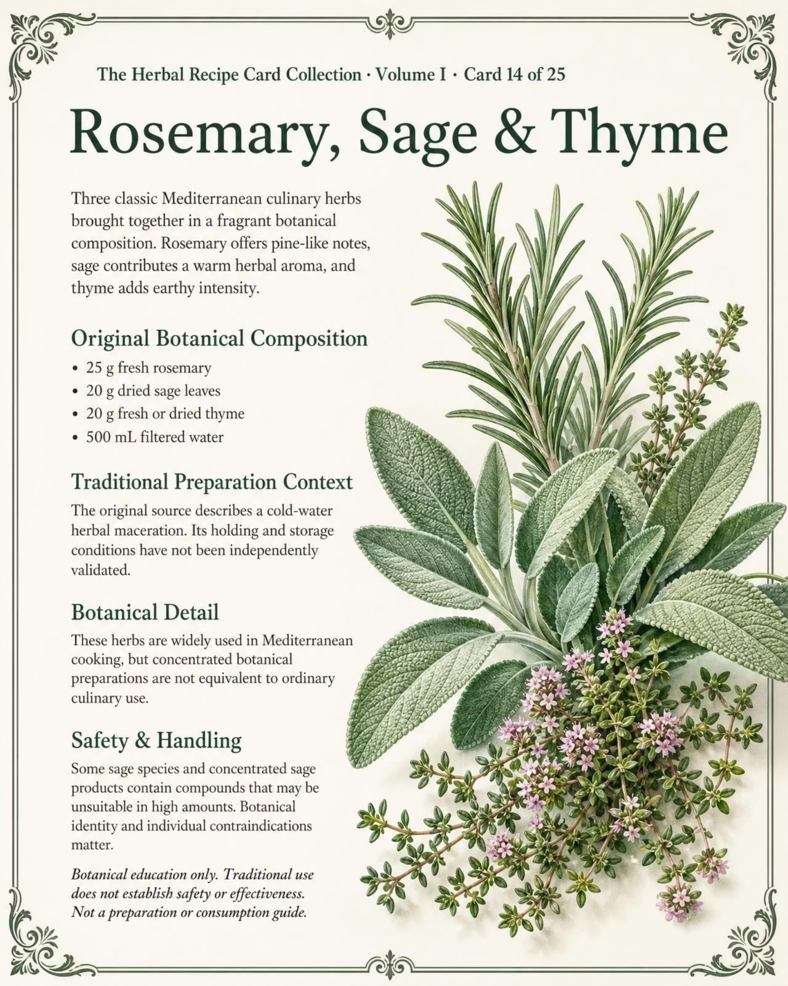 Botanical Card 14
