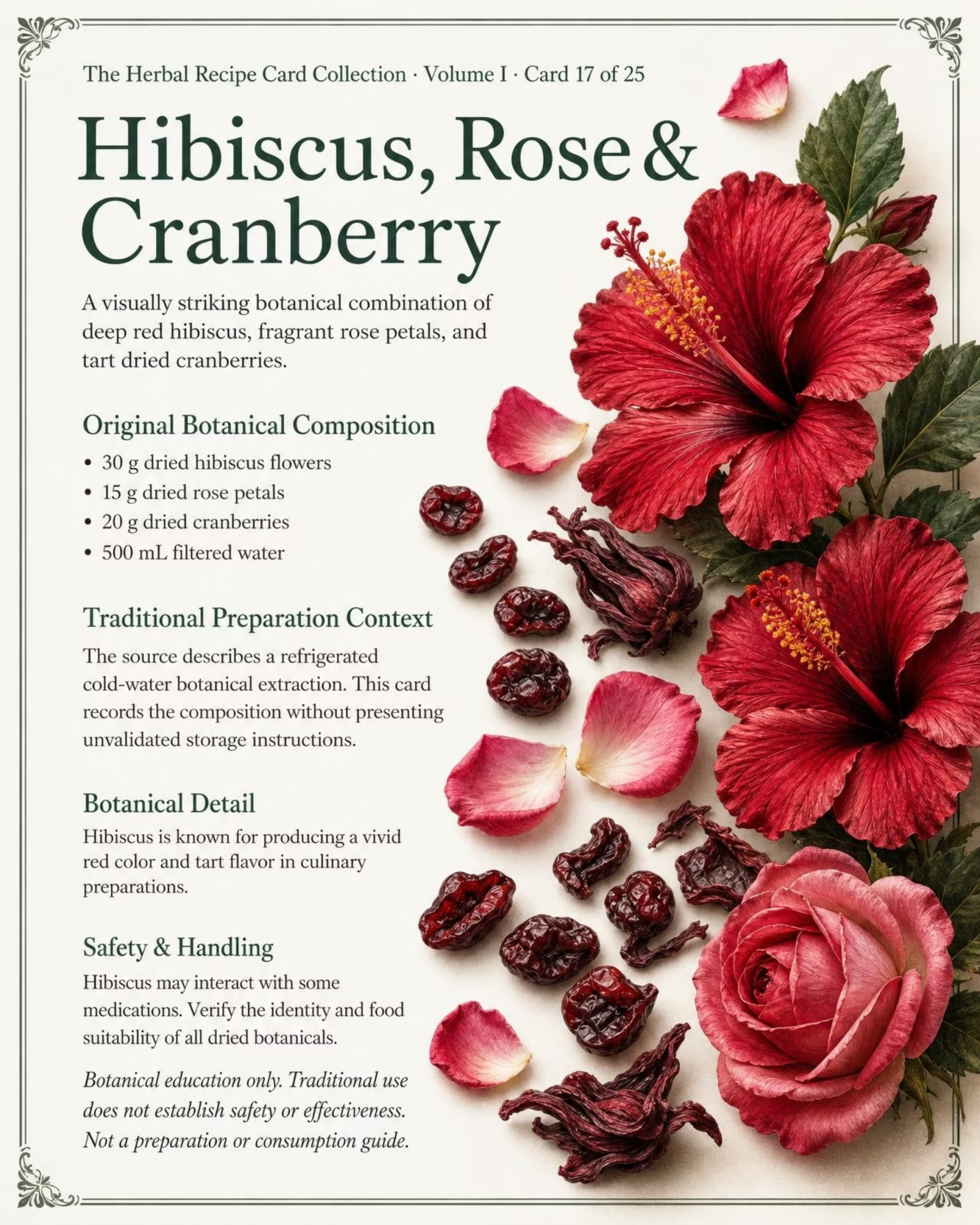 Botanical Card 17